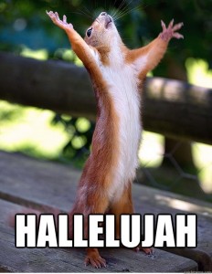 HallelujahSquirrel