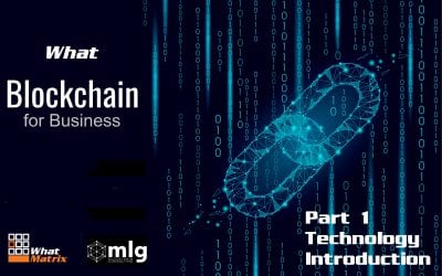 New “What Blockchain for Business?” Comparison & Technology Introduction